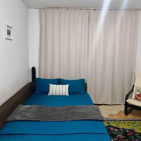 Central Apartment Muncii Area Netflix Bucureşti Ngoại thất bức ảnh